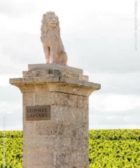 Château Léoville Las Cases 2022 Eine Kiste Mit 3 Fl.