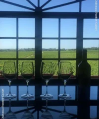 Château Pontet-Canet 2016 Eine Karton Mit 1 Fl.