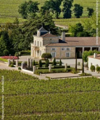 Château Montrose 2011 Eine Kiste Mit 6 Flaschen (75cl)