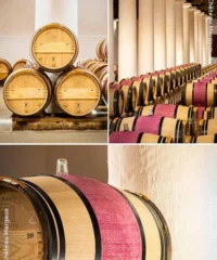 Pavillon Rouge 2022 Eine Kiste Mit 6 Flaschen (75cl)