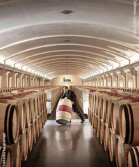 Les Fiefs De Lagrange 2014 Eine Kiste Mit 12 Flaschen (75cl)