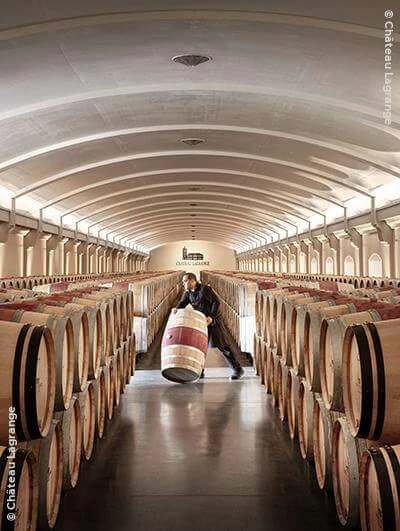 Les Fiefs De Lagrange 2018 Eine Kiste Mit 6 Magnums (1,5l) 2 Les Fiefs De Lagrange 2018 Eine Kiste Mit 6 Magnums (1,5l) – Bild 2