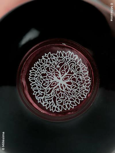 Château Ormes De Pez 2021 Eine Kiste Mit 12 Flaschen (75cl) 2 Château Ormes De Pez 2021 Eine Kiste Mit 12 Flaschen (75cl) – Bild 2