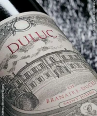 Duluc De Branaire-Ducru 2020 Ein Karton Mit 6 Flaschen (75cl)