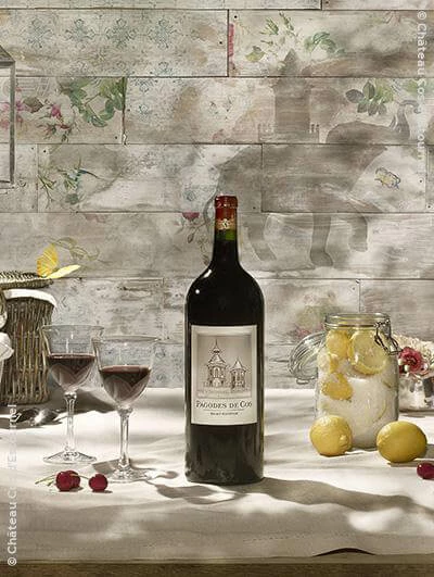 Pagodes De Cos 2017 Eine Kiste Mit 12 Flaschen (75cl) 1 Pagodes De Cos 2017 Eine Kiste Mit 12 Flaschen (75cl)