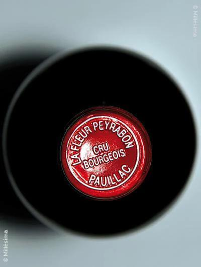 Château La Fleur Peyrabon 2003 Eine Kiste Mit 6 Flaschen (75cl) 2 Château La Fleur Peyrabon 2003 Eine Kiste Mit 6 Flaschen (75cl) – Bild 2