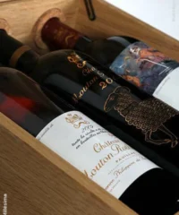 Caisse Luxe Chêne Mouton Rothschild 2000-2009-2010 Eine Kiste Mit 3 Fl.
