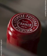 Château Léoville Poyferré : Caisse Signature Die Kassette Mit 6 Fl.