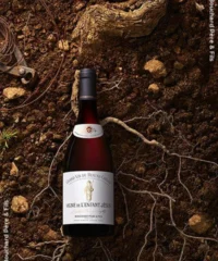 Bouchard Père & Fils : Beaune 1er Cru Grèves Vigne De L'Enfant Jésus Domaine 2017 Eine Kiste Mit 3 Flaschen (75cl)