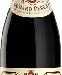 Bouchard Père & Fils : Gevrey-Chambertin 1er Cru "Les Cazetiers" Domaine 2009 Flasche (75cl)