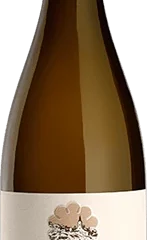 Domaine Merlin : Pouilly-Fuissé Village "Les Chevrières" 2019 Ein Karton Mit 12 Flaschen (75cl)