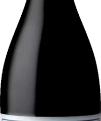 Domaine Bruno Clair : Gevrey-Chambertin 1er Cru "Les Cazetiers" 2020 Flasche (75cl)