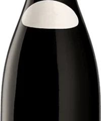 Leroy : Nuits-Saint-Georges Village Domaine 2008 Flasche (75cl)