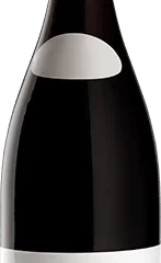 Leroy : Gevrey-Chambertin 1er Cru "Aux Combottes" Domaine 2006 Flasche (75cl)