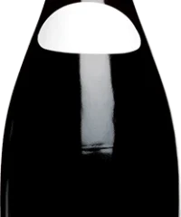 Leroy : Nuits-Saint-Georges 1er Cru "Les Boudots" Domaine 2009 Flasche (75cl)